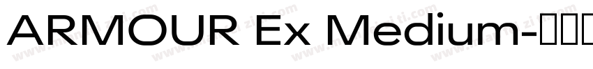 ARMOUR Ex Medium字体转换